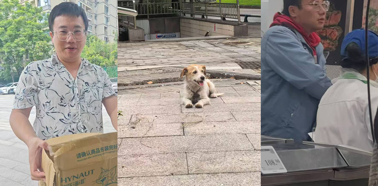 重庆山姆打包哥领养虐狗黑料 杀害小狗满屋血迹！太他妈残忍了！