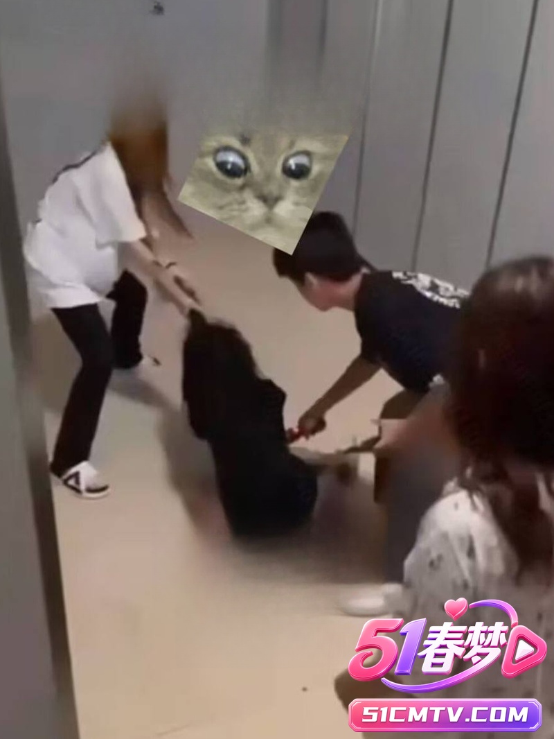 厕所保卫战太狠了！精神小妹围堵电击无辜女孩 校园霸凌现场曝光引众怒！
